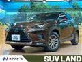 2019 Lexus NX