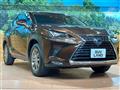 2019 Lexus NX