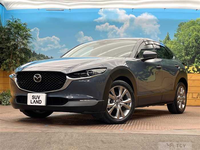 2020 Mazda Mazda Others