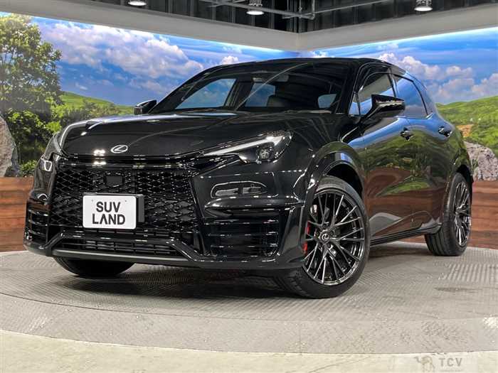 2025 Lexus Other
