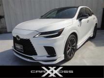 2025 Lexus RX