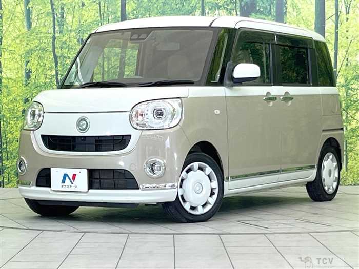 2019 Daihatsu Move Canbus