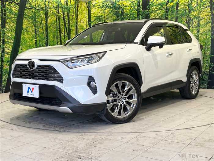 2020 Toyota RAV4