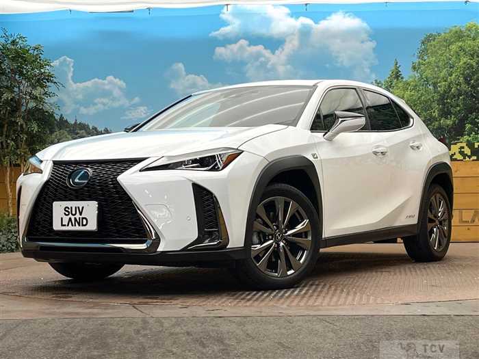 2020 Lexus Other