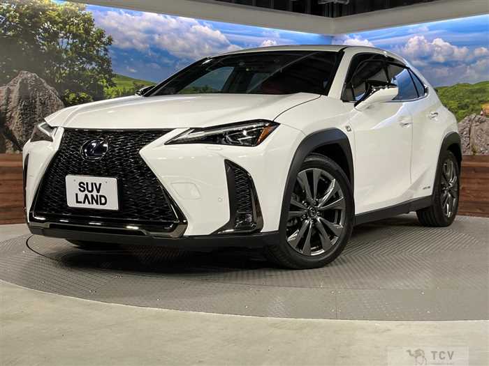 2020 Lexus Other