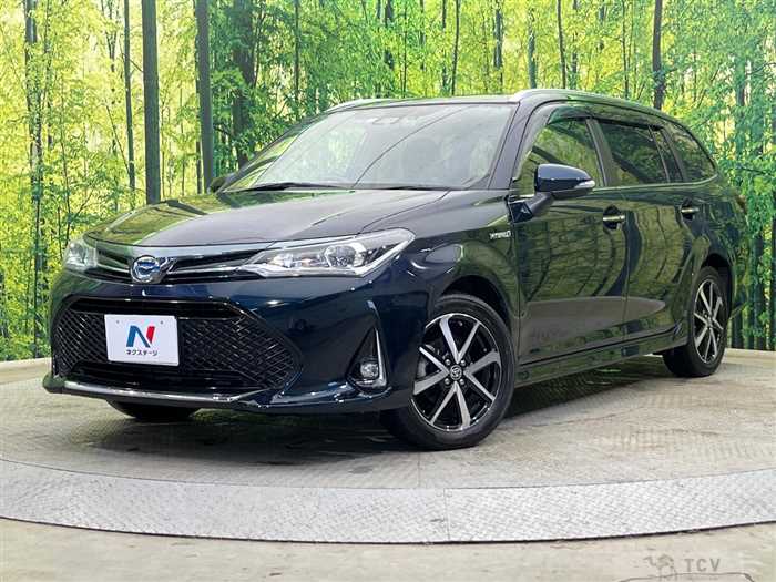 2019 Toyota Corolla Fielder