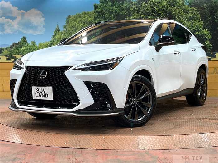 2024 Lexus NX