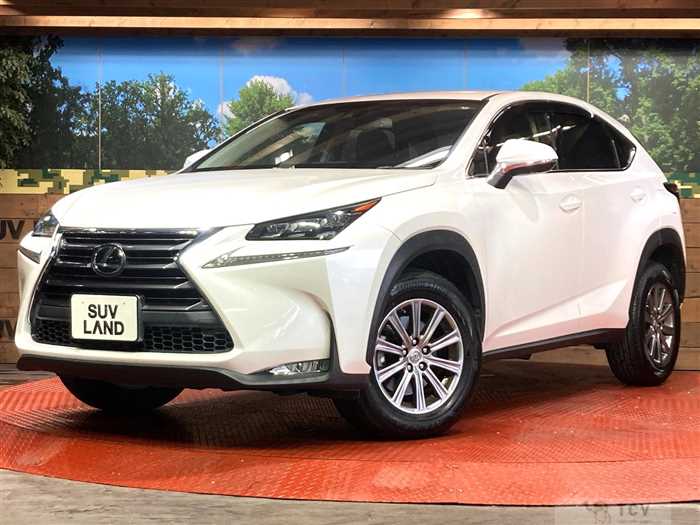 2014 Lexus NX