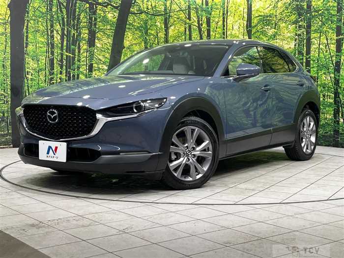 2019 Mazda Mazda Others