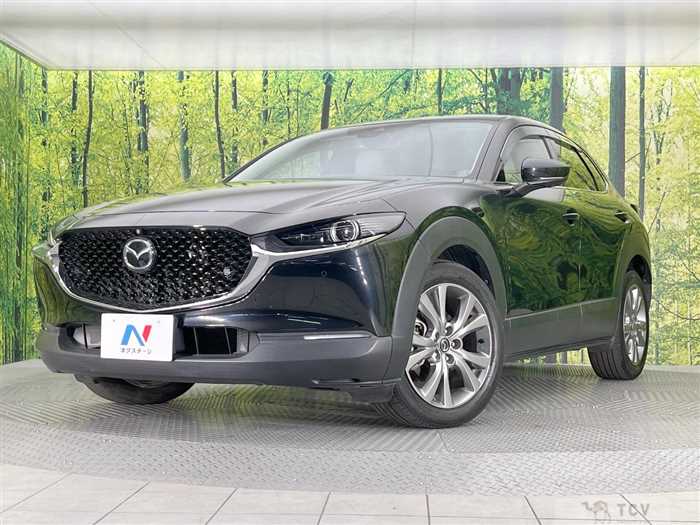 2020 Mazda Mazda Others