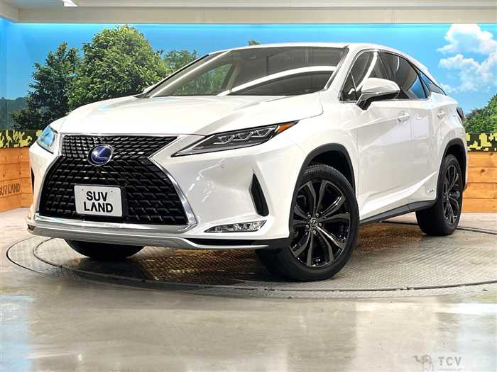 2019 Lexus RX