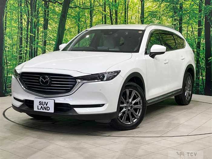 2019 Mazda CX-8