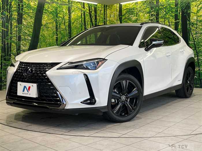 2021 Lexus Other