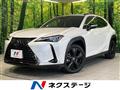 2021 Lexus Other