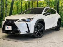 2021 Lexus Other