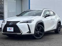 2021 Lexus Other