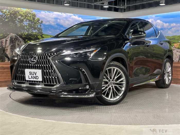 2023 Lexus NX