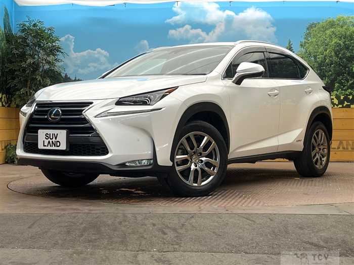 2015 Lexus NX