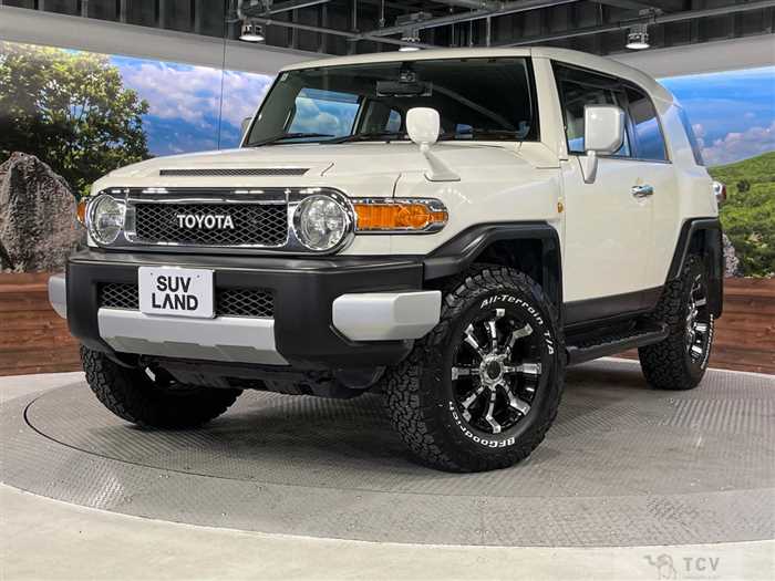 2011 Toyota FJ Cruiser