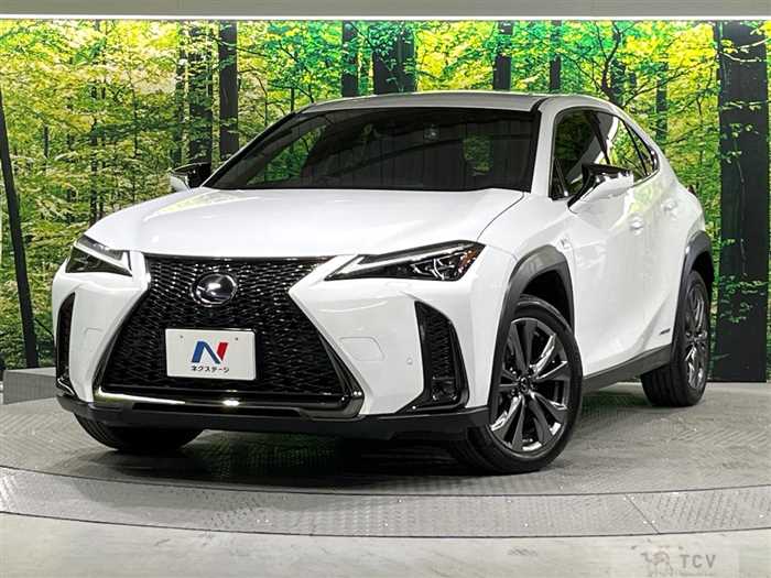 2021 Lexus Other