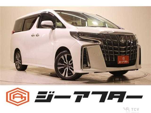 2019 Toyota Alphard G