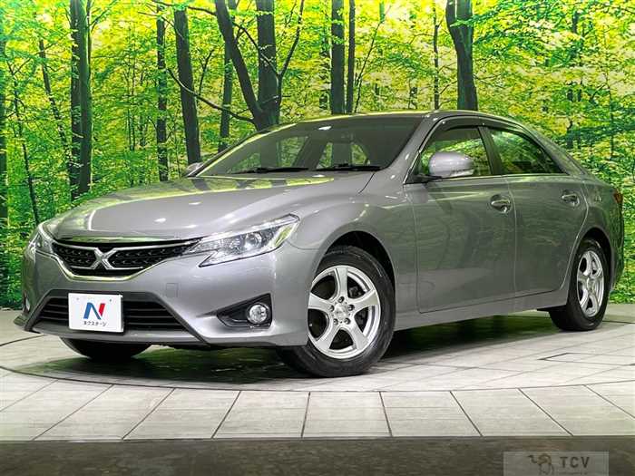 2013 Toyota Mark X