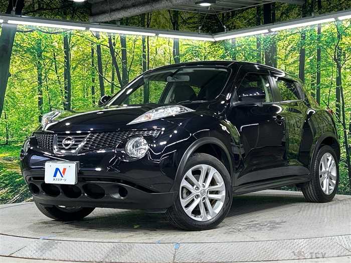 2011 Nissan Juke