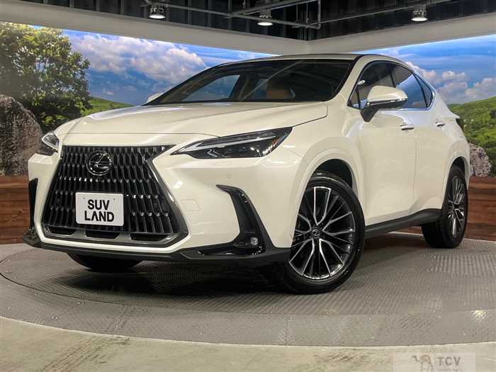 2025 Lexus NX