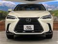 2025 Lexus NX