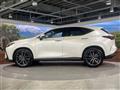 2025 Lexus NX