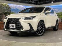 2025 Lexus NX