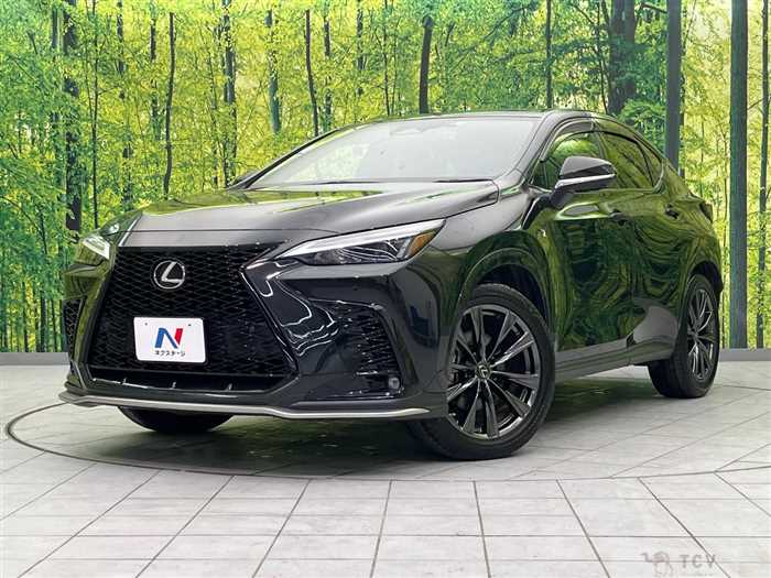 2023 Lexus NX