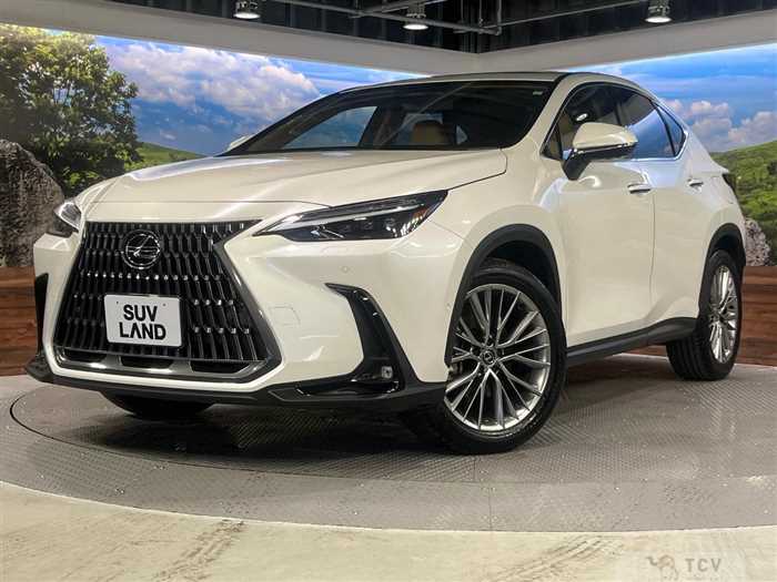 2023 Lexus NX