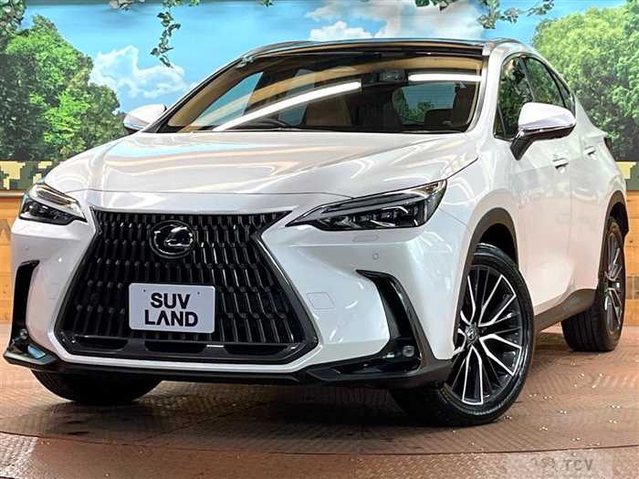 2023 Lexus NX