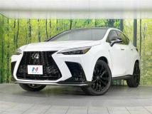 2024 Lexus NX