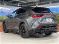 2024 Lexus NX