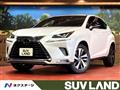 2020 Lexus NX