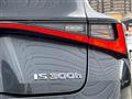 2022 Lexus IS