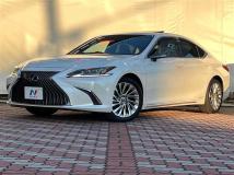 2019 Lexus ES