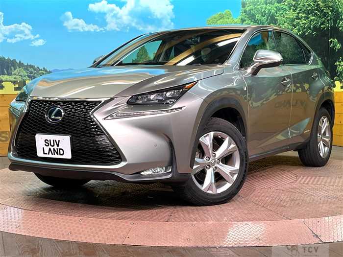 2014 Lexus NX