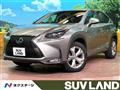 2014 Lexus NX