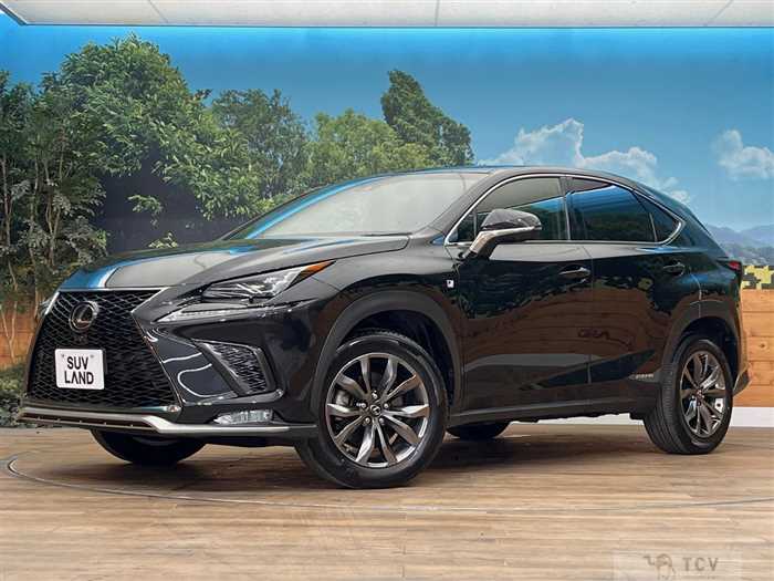 2018 Lexus NX