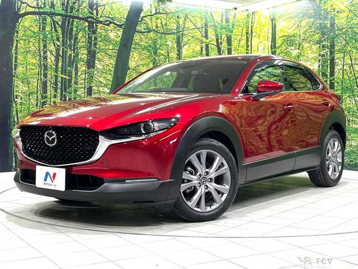 2019 Mazda Mazda Others