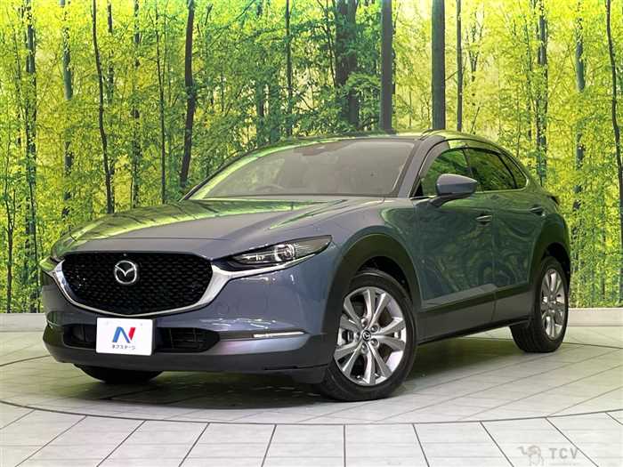 2019 Mazda Mazda Others