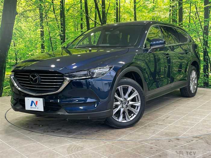 2019 Mazda CX-8