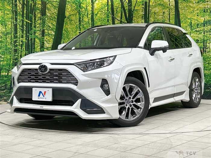 2019 Toyota RAV4