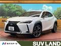 2019 Lexus Other