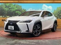2019 Lexus Other