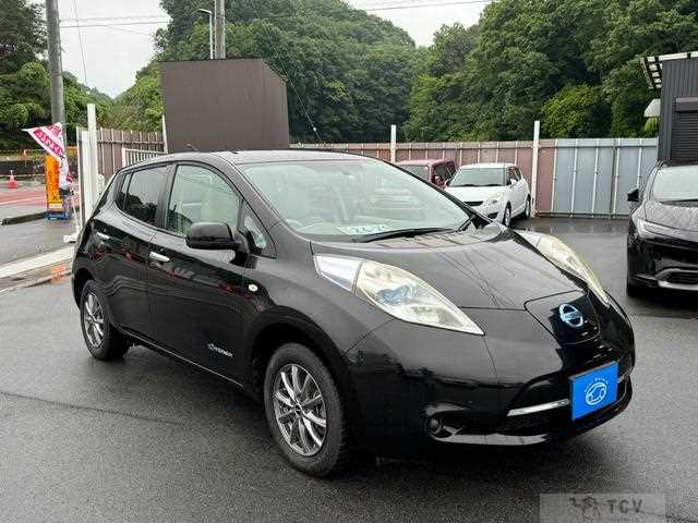 2011 Nissan Nissan Others