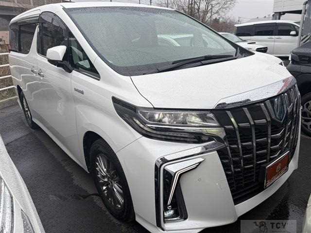 2019 Toyota Alphard G